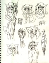 0011-calsket