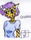 0014-cheetha