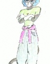 0004-badatter