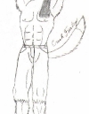 0001-badwolf