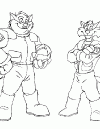 0033-tbrz03