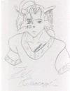 0012-feikisaragi2