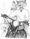 0003-rabat