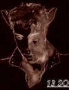 0035-m-webr