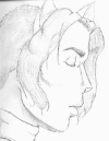0044-sirstav