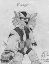 0017-picraz