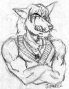 0038-snarl