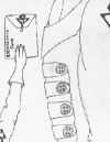 0020-n8