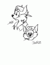 0013-jandc