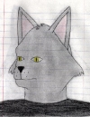 0022-kat3
