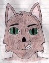 0024-kat5